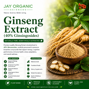 Ginseng Extract (40% Ginsingosides)
