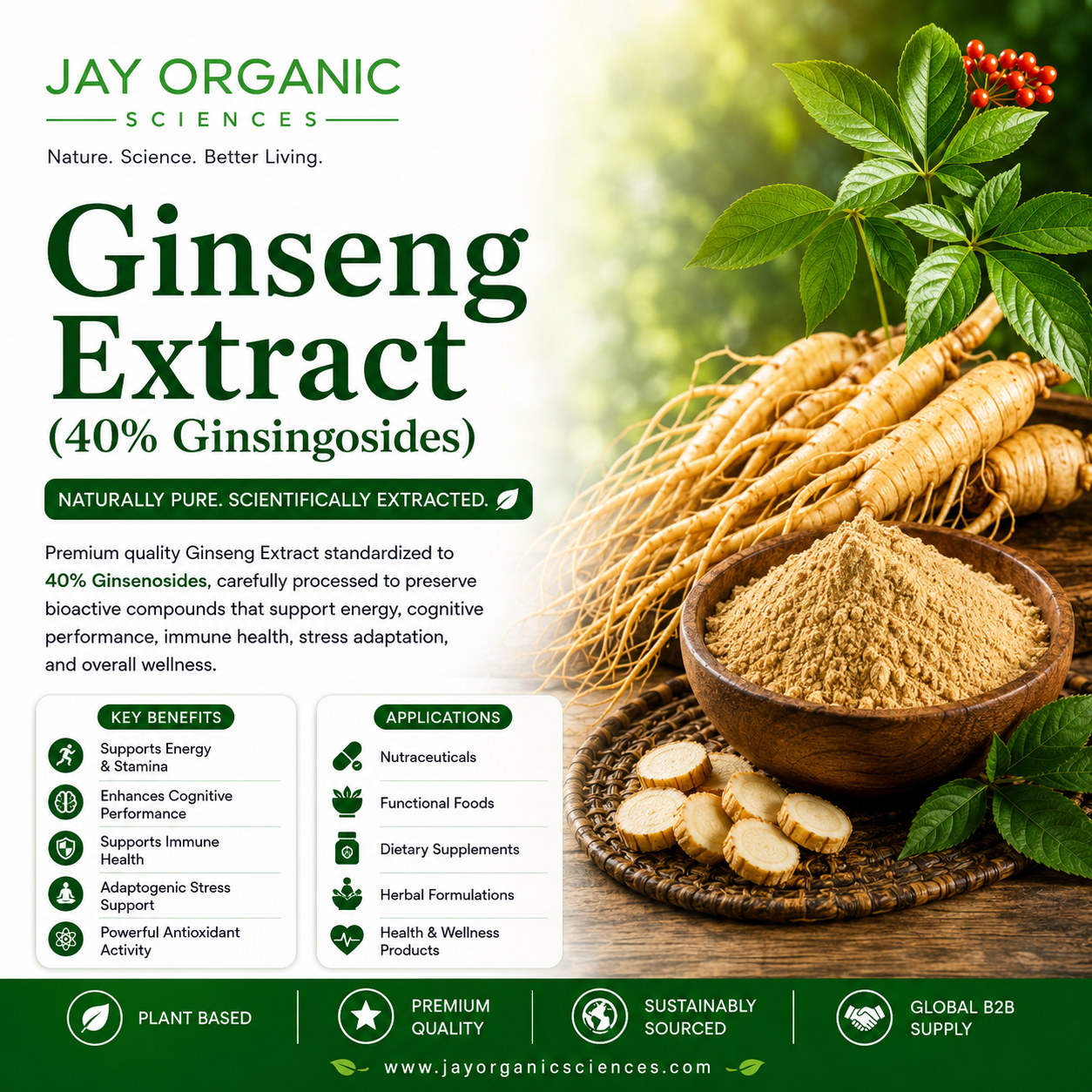 Ginseng Extract (40% Ginsingosides)