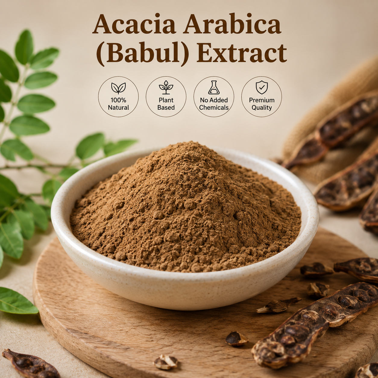 Acacia Arabica ( Babul) Extract
