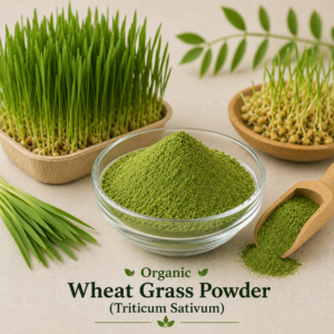 Organic Wheat Grass Powder (Triticum Sativum)