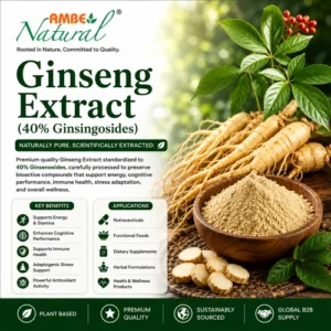 Ginseng Extract (40% Ginsingosides)