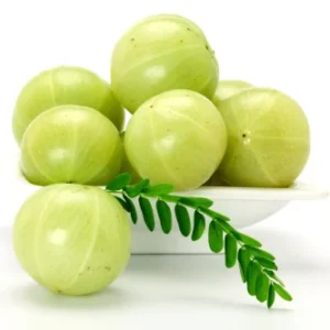 Indian Gooseberry, Amalaka, Amla Powder