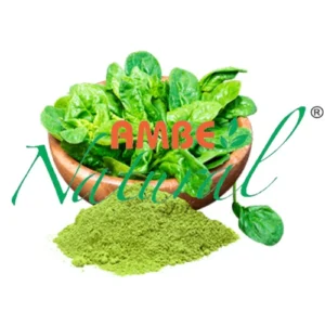 Spinach Extract Powder
